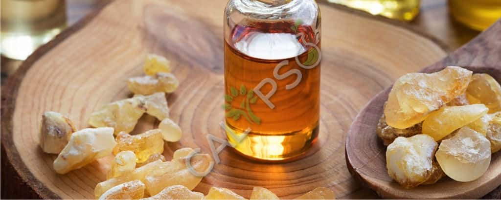 Olibanum Essential Oil Price